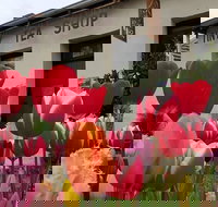 Tiny Tea Shop - Southport Accommodation