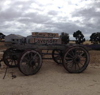 Emu Bay Lavender - Accommodation Southport