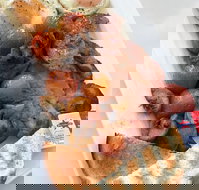 Barmera Cafe Espresso - Accommodation Southport