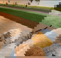 Barmera Chicken and Seafood - Accommodation Southport