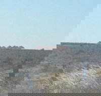 Moonlite Cafe - Accommodation Southport