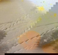 Parade Fish Shop - Southport Accommodation