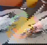 Stock Bar  Grill - Accommodation Southport