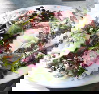 The Bikini Tree Cafe  Restaurant