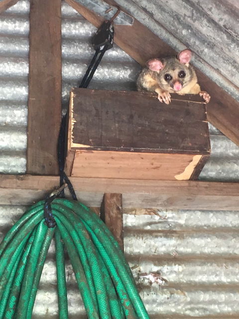 Cafe At Abbie Lane - Southport Accommodation 4