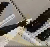 My Home - Accommodation Southport