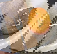 New Leaf Cafe Murwillumbah - Southport Accommodation