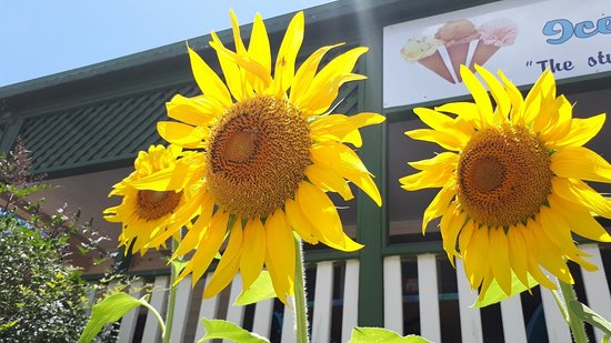 Numinbah Valley QLD Accommodation Southport