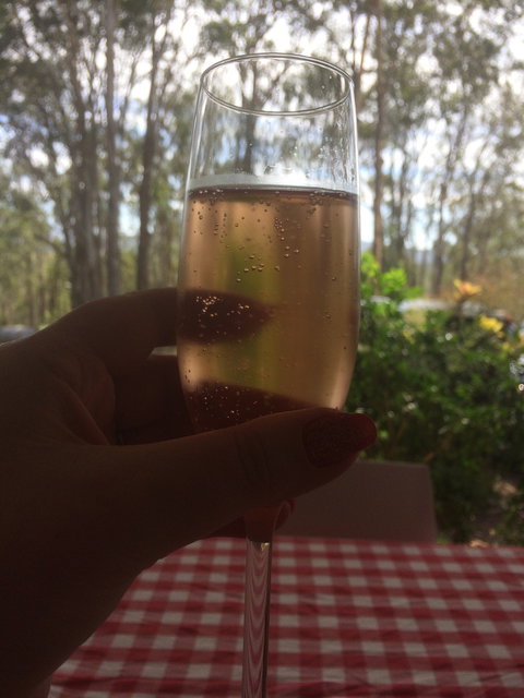 The Shed Cafe - Southport Accommodation 2