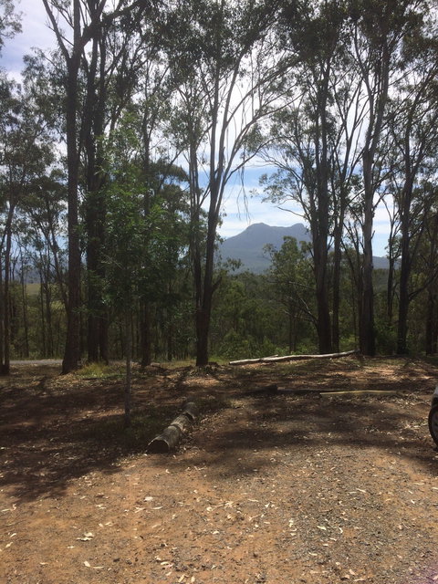 The Shed Cafe - Southport Accommodation 3
