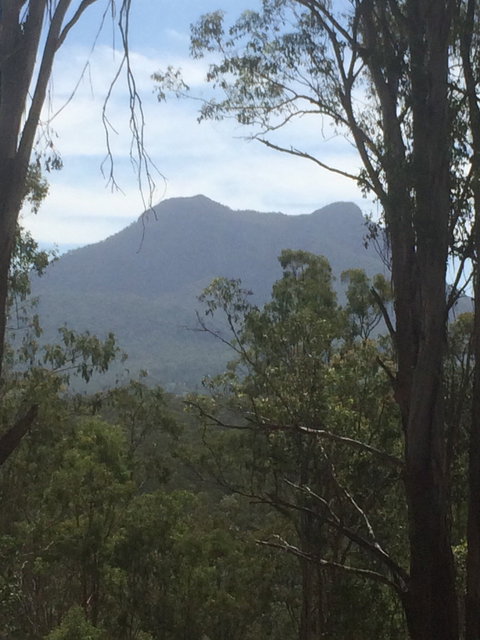 The Shed Cafe - Southport Accommodation 4