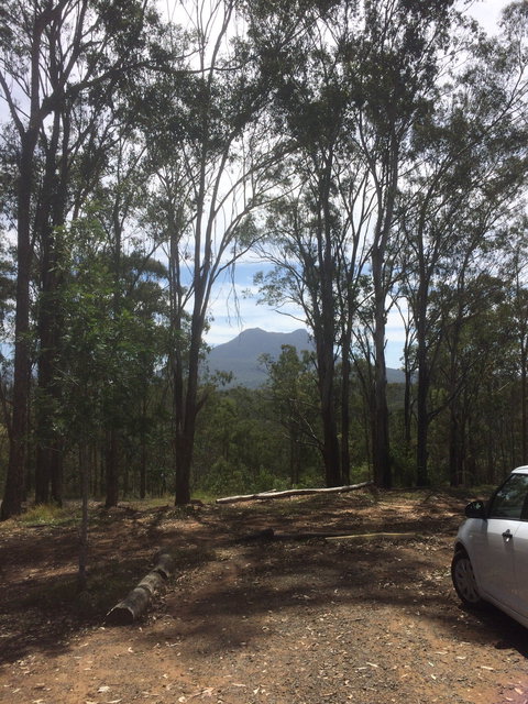 The Shed Cafe - Southport Accommodation 5