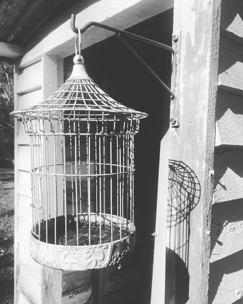 The Shed Cafe - Southport Accommodation 6