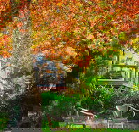 The Woods Ravensbourne - Southport Accommodation