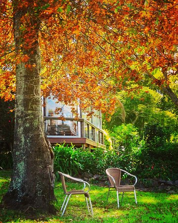 The Woods Ravensbourne - Southport Accommodation 0