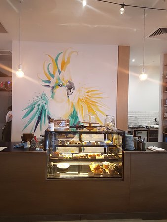 Freshwater Creek ACT Southport Accommodation