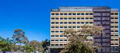 Mantra MacArthur Hotel - Southport Accommodation 0