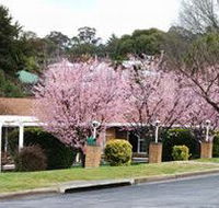 White Lanterns Motel - Southport Accommodation