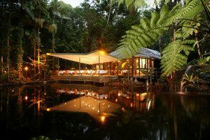 Daintree Eco Lodge & Spa - Southport Accommodation 2