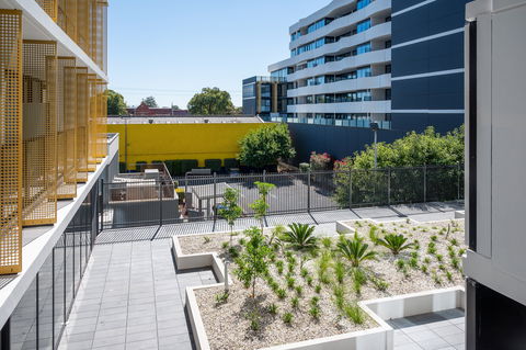 Oros Plus Hotel - Southport Accommodation 2