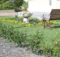SureStay by BW The Clarence on Melville - Southport Accommodation