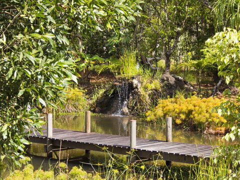 Cedar Park Rainforest Resort - Southport Accommodation 0