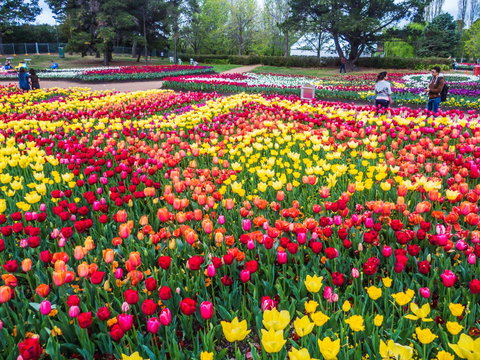 ALLARA CANBERRA - Accommodation Southport 16