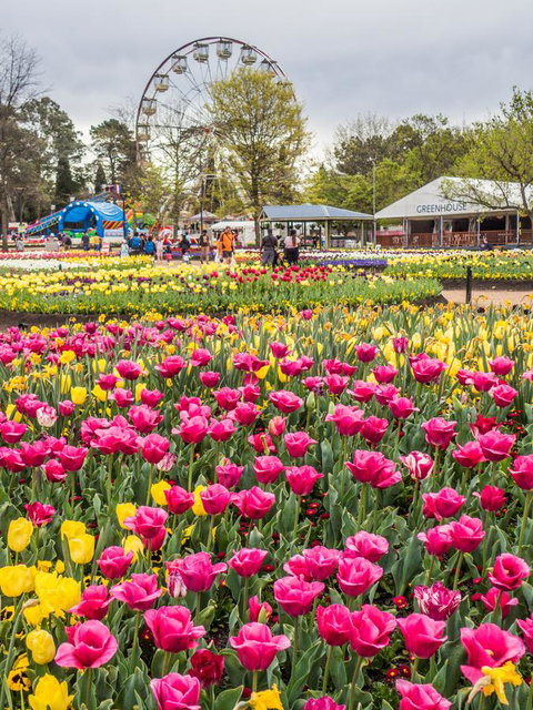 ALLARA CANBERRA - Accommodation Southport 15