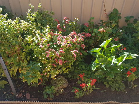 Tanunda\'s Magpie House - Southport Accommodation 24
