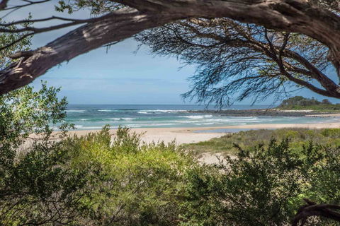 BIG4 Tasman Holiday Parks - Racecourse Beach - Southport Accommodation 7