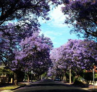 Monaco Court Apartment Adelaide - Southport Accommodation