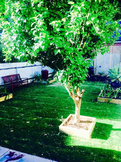 A Rose By The Park - Accommodation Southport 11