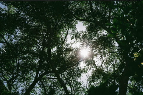 A Rose By The Park - Accommodation Southport 13