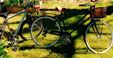 A Rose By The Park - Accommodation Southport 14