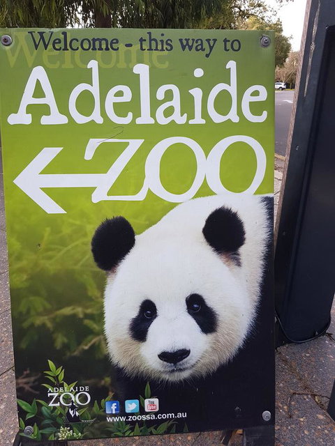 Adelaide Style Accommodation-Close To City-North Adelaide-3 Bdrm- FREE Parking - Accommodation Southport 35