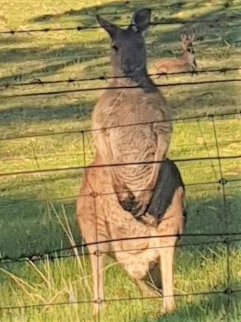 Adelaide Style Accommodation-Close To City-North Adelaide-3 Bdrm- FREE Parking - Accommodation Southport 25