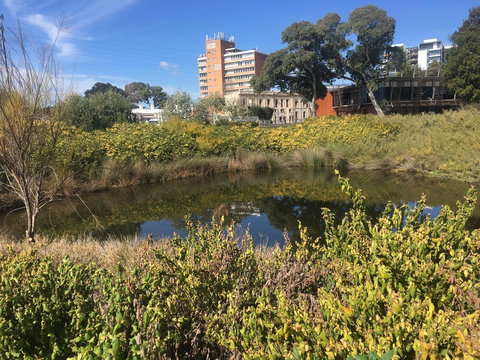 Adelaide Style Accommodation-Close To City-North Adelaide-3 Bdrm- FREE Parking - Accommodation Southport 40