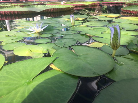 Adelaide Style Accommodation-Close To City-North Adelaide-3 Bdrm- FREE Parking - Accommodation Southport 41