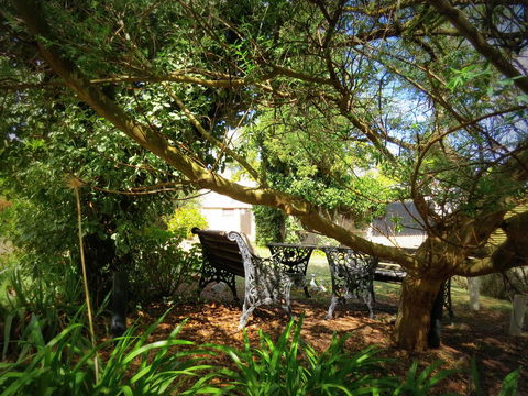 The Pig And Whistle - Southport Accommodation 4
