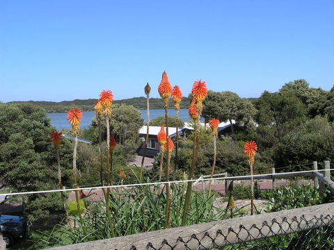 Lakeside Tourist Park - Southport Accommodation 3