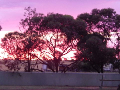 Wudinna Gawler Ranges Motel And Caravan Park - Southport Accommodation 11