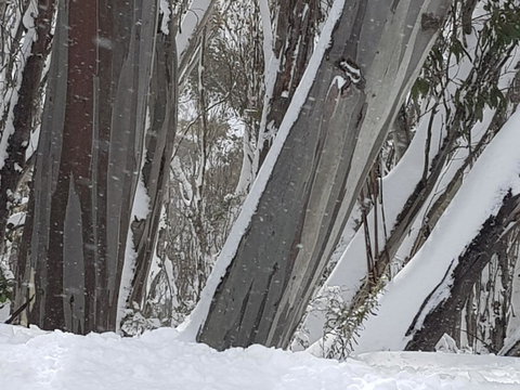 CHILL-OUT - Thredbo - Southport Accommodation 30