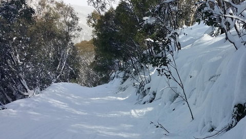 CHILL-OUT - Thredbo - Southport Accommodation 17