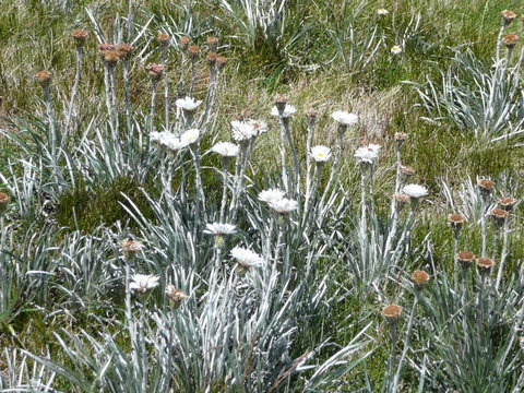 CHILL-OUT - Thredbo - Southport Accommodation 36