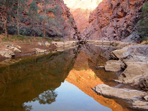 Arkaroola Wilderness Sanctuary - Southport Accommodation 6