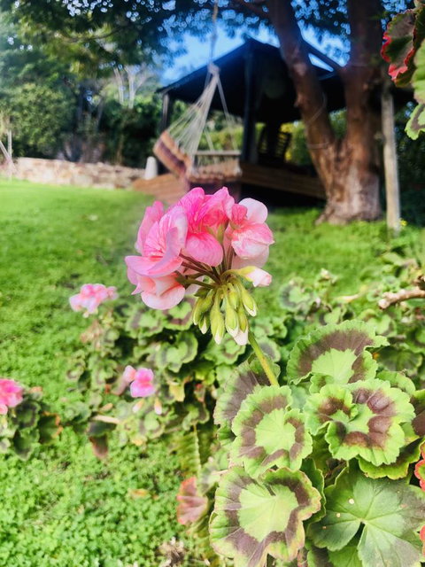 Stunning House With Beautiful Entertainment Area!! - Accommodation Southport 17