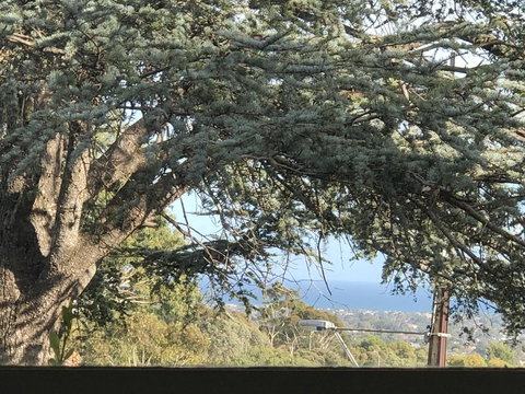 Stunning House With Beautiful Entertainment Area!! - Accommodation Southport 8