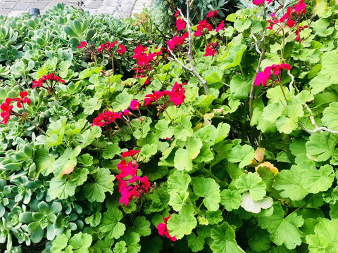 Stunning House With Beautiful Entertainment Area!! - Accommodation Southport 14