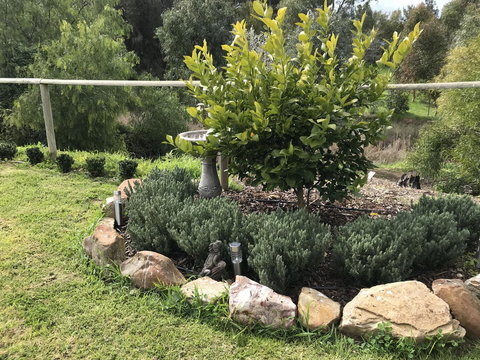 Adagio In Auburn - Accommodation Southport 18