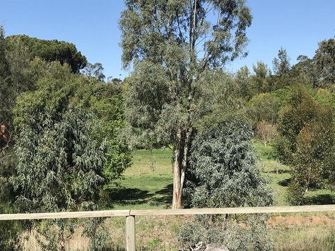 Adagio In Auburn - Accommodation Southport 25